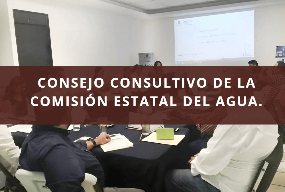 CONSEJO CONSULTIVO DE LA COMISIÓN ESTATAL DEL AGUA.