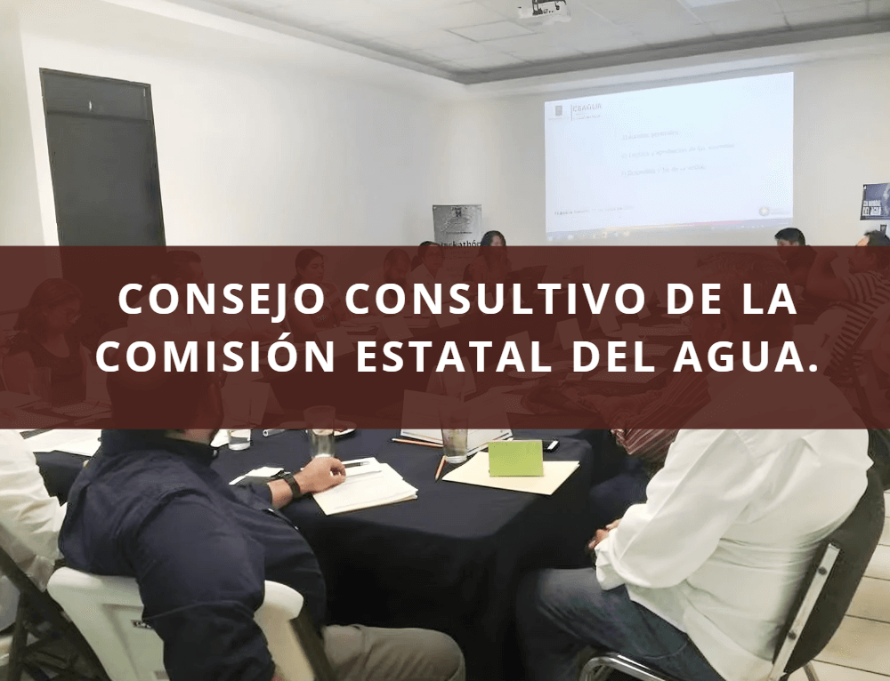 CONSEJO CONSULTIVO DE LA COMISIÓN ESTATAL DEL AGUA.