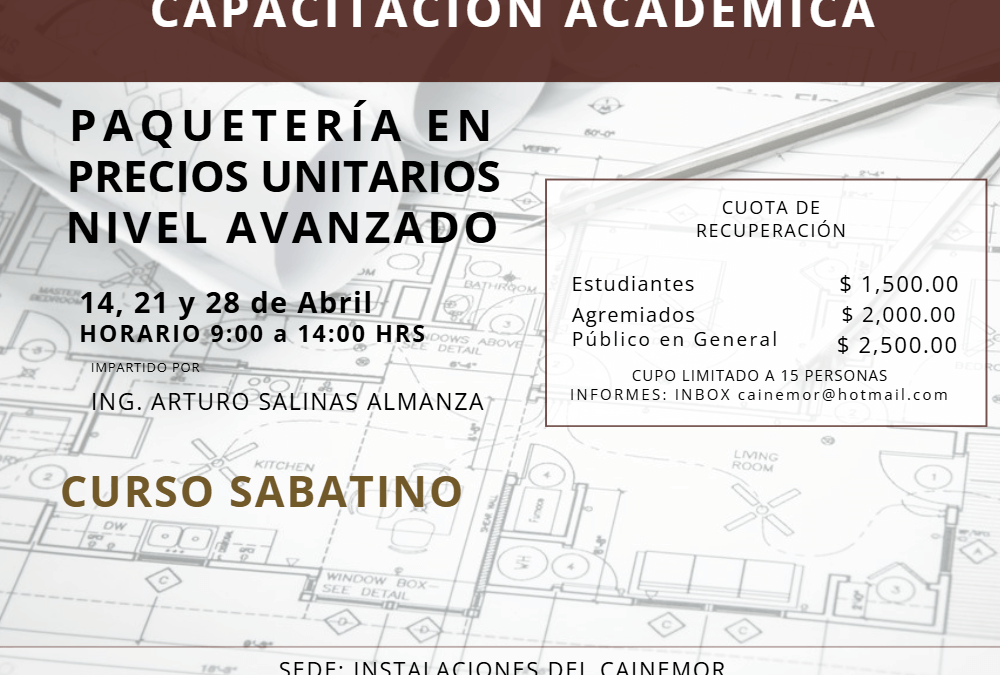 PAQUETERÍA EN PRECIOS UNITARIOS NIVEL AVANZADO