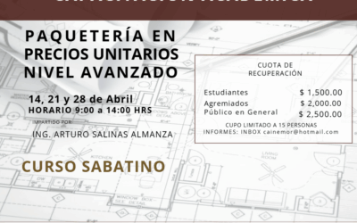 PAQUETERÍA EN PRECIOS UNITARIOS NIVEL AVANZADO