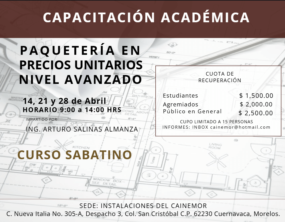 PAQUETERÍA EN PRECIOS UNITARIOS NIVEL AVANZADO